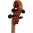 Gewa Germania 11 Prag Antik Cello