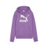 Фото #1 товара Puma Classics Shiny Logo Pullover Hoodie Womens Purple Casual Outerwear 62559550
