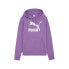 Фото #1 товара Свитшот женский PUMA Classics Shiny Logo Pullover Hoodie розовый Casual Outerwear 62559550