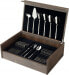 Фото #1 товара Amefa Ventura 1924 - 78-pc Cutlery set in wooden canteen