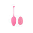 Vibrating Egg Remote Control Sweety Teaser USB 5.7