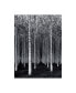 Фото #1 товара David Scarbrough The Forest For The Trees Canvas Art - 20" x 25"