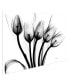 "Marching Tulips" Frameless Free Floating Tempered Glass Panel Graphic Wall Art, 32" x 48" x 0.2"
