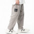 Фото #5 товара Спортивные брюки GAONCREW 2020SS-PPDG39 Deep Gray