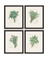 Фото #1 товара Paragon Herbs Framed Wall Art Set of 4, 23" x 19"