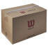 WILSON Triniti Club Tennis Ball Box 72 Units