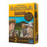 Фото #2 товара ASMODEE Agricola Animales En La Granja Edicion Definitiva Spanish Board Game