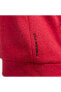 Фото #5 товара Свитшот мужской Nike Therma-Fit Hoodie красный