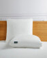 White Goose Feather & Down Fiber Side Sleeper 2-Pack Pillow, Standard/Queen