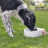 Фото #1 товара Trixie TRIXIE Automatyczne poidło dla zwierząt domowych, plastikowe