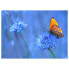 Фото #1 товара Скатерть с бабочками tischsetmacher Schmetterling I (12 штук)