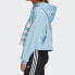 adidas originals三叶草 春秋运动套头卫衣 女款 粉蓝色 / Толстовка Adidas Originals Trendy Clothing FS1312