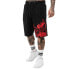 Фото #1 товара TAPOUT Blashed Shorts
