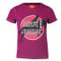 Фото #1 товара REDHORSE Luxor short sleeve T-shirt