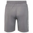 HUMMEL TE Flex Mesh shorts