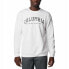 COLUMBIA Logo Crew sweatshirt