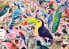 Ravensburger Puzzle 2D 1000 elementów Matt Sewells Wspaniałe ptaki