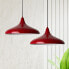 Pendelleuchte 2x Champion Lampe