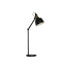 Фото #1 товара Настольная лампа декоративная DKD Home Decor 41 x 18 x 59 см Черный Золотой Металл 220 В 50 Вт