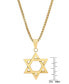 ფოტო #3 პროდუქტის Men's 18k Gold-Plated Stainless Steel Star of David 24" Pendant Necklace