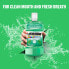 Фото #2 товара Ополаскиватель для полости рта со вкусом ментола Smart Rinse Mint 250 мл