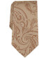 ფოტო #1 პროდუქტის Men's Marbella Paisley Tie