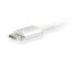 Equip USB Type C to DisplayPort Adapter - 4096 x 2160 pixels