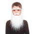 Фото #1 товара Карнавальный костюм My Other Me Накладная борода Белый