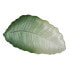 Фото #5 товара Поднос Зеленый Лист растения 31 x 18 cm