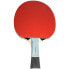 Фото #7 товара Ракетка для настольного тенниса Butterfly Timo Boll Ping Pong SG77 85027.