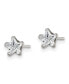 Stainless Steel Polished Star CZ Stud Earrings