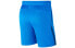 Nike Dri-FIT CJ2008-480 Shorts