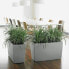 Plant pot Lechuza 43 x 75 x 43 cm Plastic Rectangular