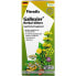 Фото #1 товара Gaia Herbs, Floradix, Gallexier, травяная добавка в виде жидкого экстракта, 250 мл (8,5 жидк. унции)
