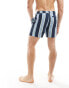 New Look stripe swim short in blue 2XL - фото #4