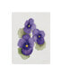 Фото #1 товара Kathleen Parr Mckenna Easter Blessing Flower IX Canvas Art - 15" x 20"