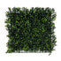 Pflanzenwand Boxwood