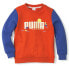 Puma X Tiny Colourblocked Crew Neck Sweatshirt Youth Boys Red 534812-25