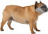 Фото #1 товара Trixie Kaganiec dla psów ras krótkopyskich, poliester, XS–S: 15 cm, szary