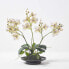 Фото #6 товара Искусственные цветы Homescapes Phalaenopsis-Orchidee 38 см белые