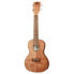 Kala Travel Concert Ukulele