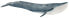 Фото #1 товара Фигурка Schleich Blue Whale Figurine 14806 Wild Life (Дикая природа)