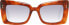 Фото #2 товара Just Cavalli Sonnenbrille JC819S 53W 49 Damen Braun