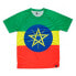 Фото #1 товара HOOPOE Adisebeba short sleeve T-shirt