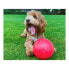 Фото #3 товара Игрушка для собак Company of Animals Boomer Синий (250mm)