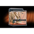 ფოტო #1 პროდუქტის EXO TERRA Desert Terrarium medium habitat kit