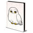 Фото #1 товара PYRAMID A5 Notebook Harry Potter Hedwig