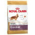 Фото #1 товара ROYAL CANIN Cocker Corn Poultry Rice Adult 12kg Dog Food