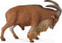 Figurka Collecta Owca grzywiasta (004-88683)
