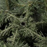 Фото #8 товара Künstlicher Weihnachtsbaum 180 cm